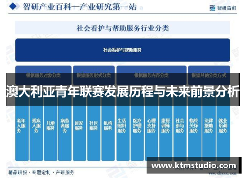 澳大利亚青年联赛发展历程与未来前景分析